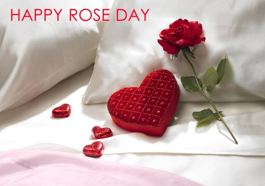 rose day image