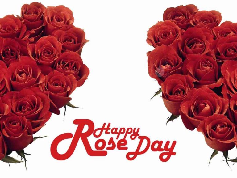 Happy Rose Day Images, Photos, Greetings, Wallpaper, Pictures, 2020
