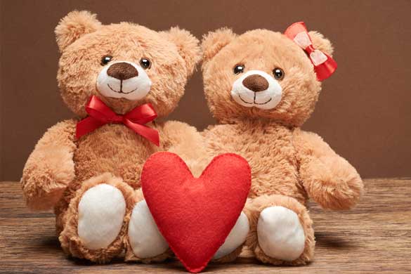 Teddy day special