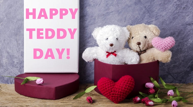 teddy bear images for whatsapp dp