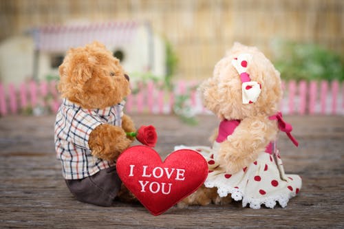 teddy day wallpaper download