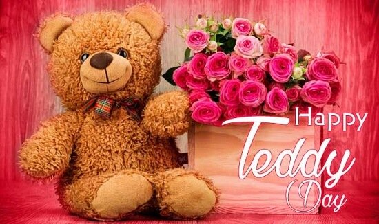 Happy Teddy day Status, wishes, Quotes, Images, SMS, Wallpapers [2020]