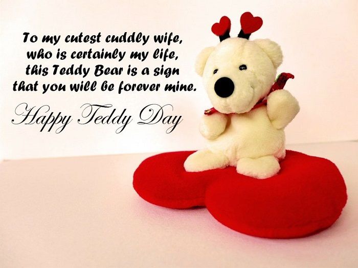 valentine week teddy day image