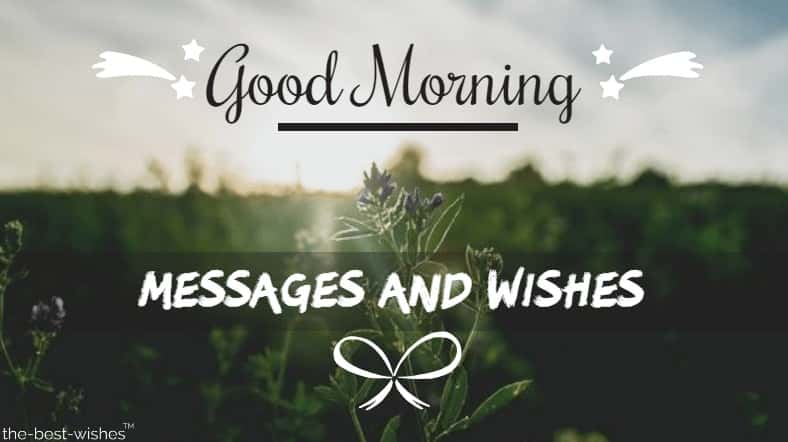 Morning sms Morning sms