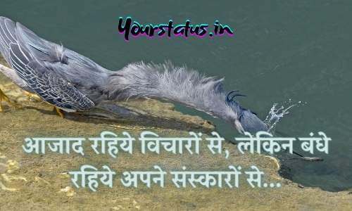 Whatsapp Hindi Quotes Whatsapp Hindi Quotes