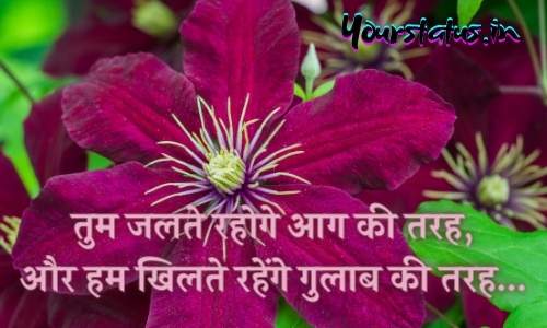 Whatsapp Hindi Quotes Whatsapp Hindi Quotes