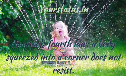 Funny Quotes Funny Quotes