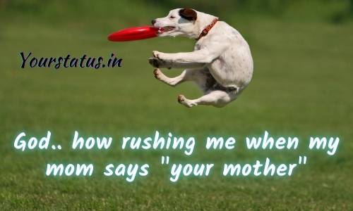 Funny Status Lines Funny Status Lines